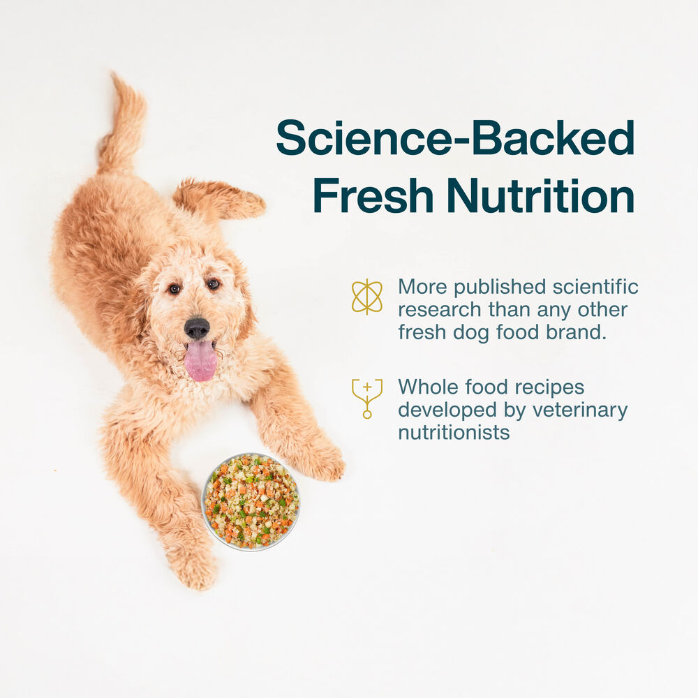 Variety Pack - Puppy 18 oz (7 Pack)